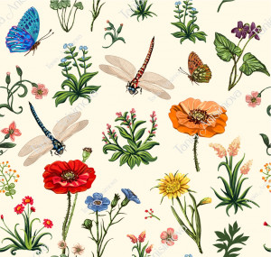 Light summer pattern with wildflowers, poppies, butterflies and dragonflies