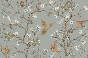 Hummingbirds and flowers, grey background
